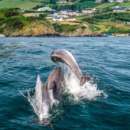 Realt Na Mara Villa Killybegs Eksteriør bilde