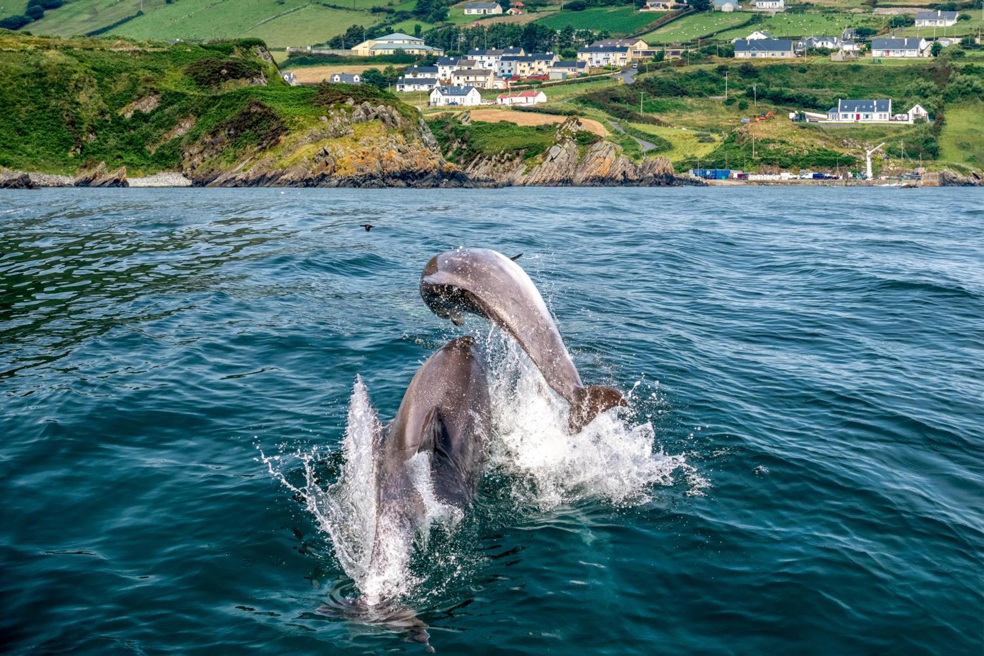 Realt Na Mara Villa Killybegs Eksteriør bilde
